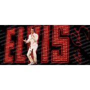 Elvis Presley bögre