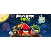 Angry Birds Space bögre