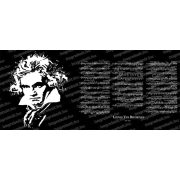 Beethoven bögre