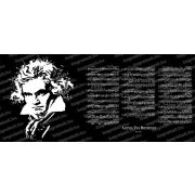 Beethoven bögre