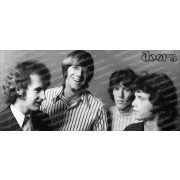 The Doors bögre