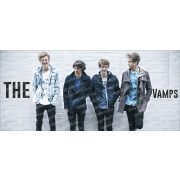 The Vamps bögre