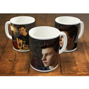Shawn Mendes bögre