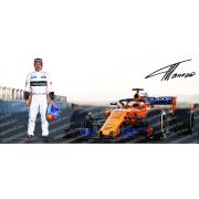 Fernando Alonso bögre