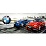 BMW bögre