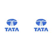 Tata bögre