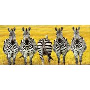 Zebra popsi bögre