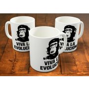 Viva la Evolucion! bögre