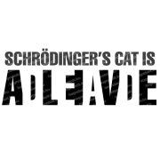 Schrödinger macskája bögre