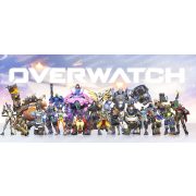 Overwatch bögre